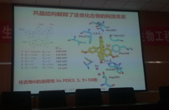 中山大学尹胜教授来集团进行学术交流