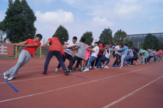 集团在2016届新生拔河比赛中荣获优胜奖